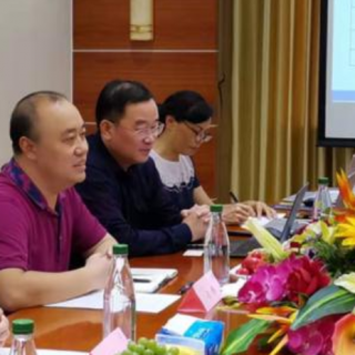 廣州各區(qū)知識產(chǎn)權(quán)貫標認定補貼