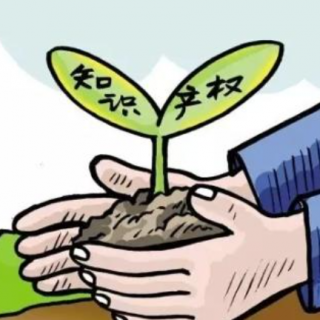 工商注冊(cè)流程