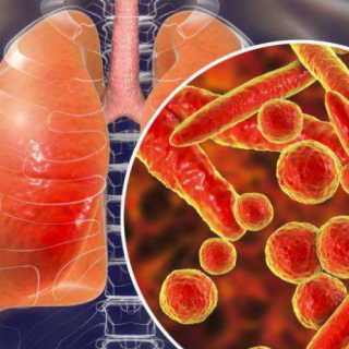 2020年度國家自然科學基金委員會與新西蘭健康研究理事會新型冠狀病毒肺炎(COVID-19)合作研究項目申請有關(guān)事項的通知